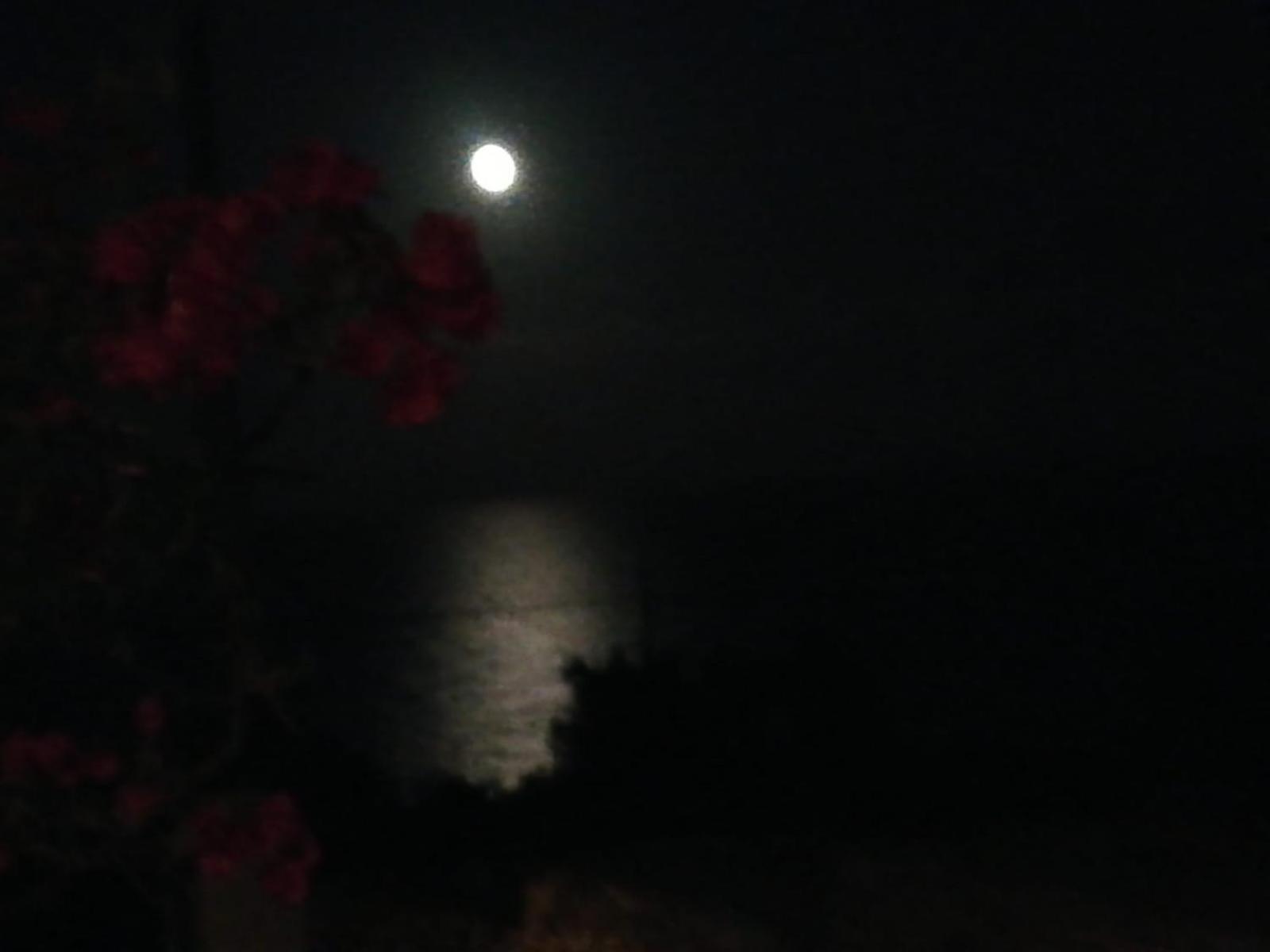 Azzurrosalento Villa Marina Serra Dış mekan fotoğraf
